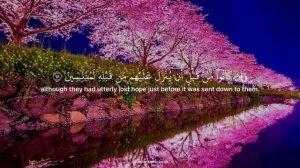 Красивое чтение Корана Ясир ад Даусари