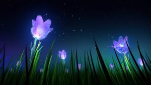 Эта нежная чарующая мелодия успокаивает душу_ РЕЛАКС_ Музыка Хамида Хекмата. Всегд(720P_HD)