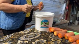 Выращивать морковь не трудно,самое главное надо сохранить