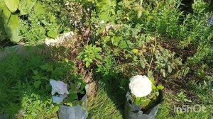 Уходящие Летние денечки в делах