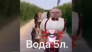 опять собака съела🥰🥰