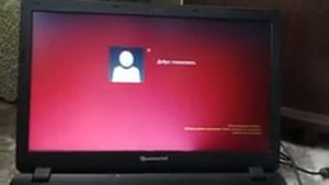 Запуск старого ноутбука Packard Bell (Windows 8.1)