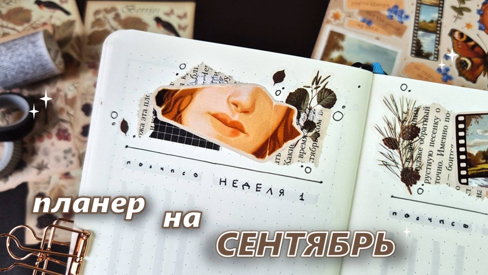 Как я веду ежедневник |🍂☕️СЕНТЯБРЬ 2025 🍂☕️| оформление ежедневника смотреть онлайн