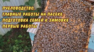 пчеловодство, главные работы на пасеке, подготовка семей к зимовке первые работы