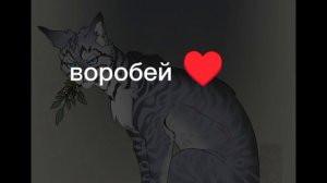 воробей💗💞