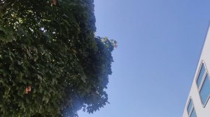 станция Джанкой Крымская земля 29 августа...