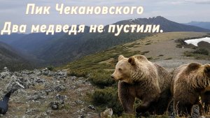 пик Чекановского(Хамар-Дабан)два медведя не пустили.