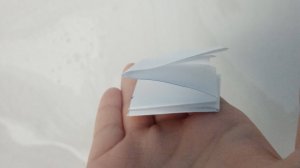 Пробую гармошку из тик тока