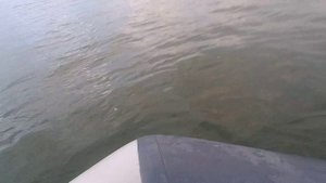 установил перемёт.судак на нарзку.судаки на перемёт