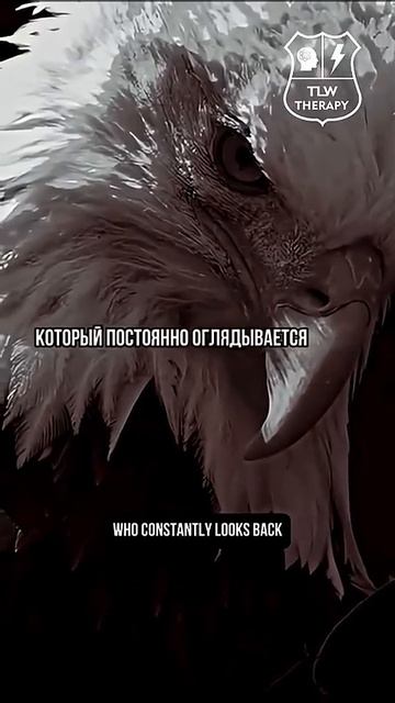 13 глубоких по смыслу иностранных пословиц