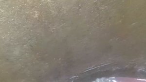 Ст. Флора , как убрать мутную воду с колодца. podkapaev.ru 89166141907