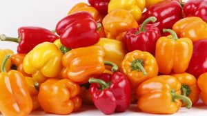 Шурпа , фаршированные перцы . ВЛОГ !!!!!!!!! (29.08.25)