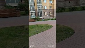 Это наше лето 2025.mp4