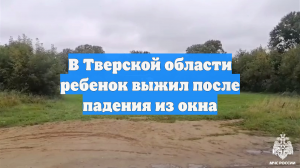 В Тверской области ребенок выжил после падения из окна