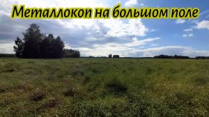 Прохожу небольшие околочки на большом поле