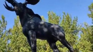 Скульптура «Лось» - символ Мончегорска