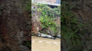 Долина Нарзанов, полная версия (Дашин взгляд)