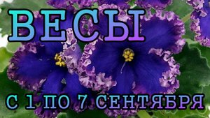 ВЕСЫ таро прогноз на неделю с 1 по 7 СЕНТЯБРЯ 2025 года.