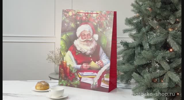 Подарочный пакет ВМЕСТЕ С САНТОЙ: ПОРАДУЕМСЯ, бумага, 61х44 см, XNA16004051-2