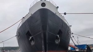 Необычные обитатели на якорях ледокола 'Ленин"