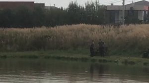 поимка форели на фидер