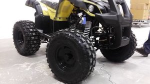 Коронавирусный обзор на квадроцикл Motoland FOX 125