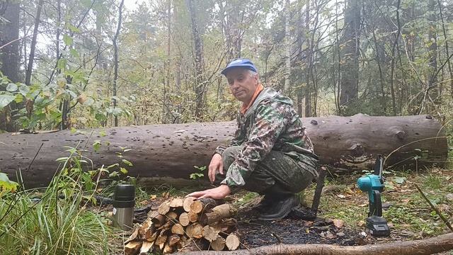 Мини пила на аккумуляторе в помощь. смотреть онлайн