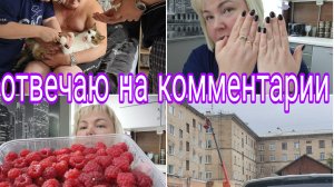 30-08-2025 ЕЩЕ ОДИН ПОДАРОК КУПИЛИ * НЕКТАРИНКИ ДЛЯ МАРИНКИ * КОГТИ ПОДСТРИГЛИ * КОММЕНТАРИИ