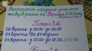 Лучшие дни для черенкования в сентябре 2025!