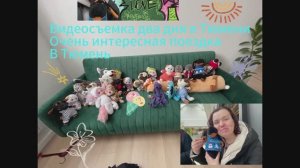 Поездка в Тюмень очень интересная поездка в марте 25-го года поездка с Басиками