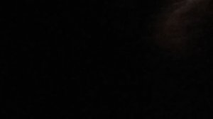 Огромная сова прилетела ко мне, чтоб по есть.