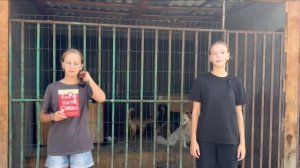 «Дог шоу» | выпуск 3
