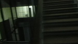 Элитный НЛМ ! Лифт НЛМ-(E STYLE l) под. №5 @ ТСЖ «ДОМ 75 НА ЛЕНИНГРАДСКОМ ПРОСПЕКТЕ» (2486)