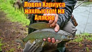 Фильм ловля Хариуса нахлыстом на Аляске.