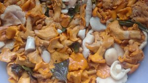 Соленье грибов