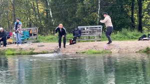 Поимки форели на водоеме