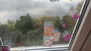 влог с милкой 🍩Генеральная уборка в комнате милки