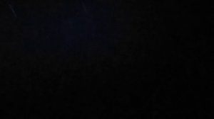 Огромная сова прилетела ко мне, чтоб по есть.