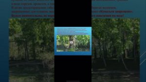 video5377581543181007646