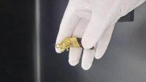 Коготь льва