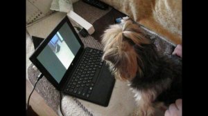 Фрося смотрит видео с Шаней