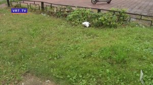 Еженедельный объезд городских территорий