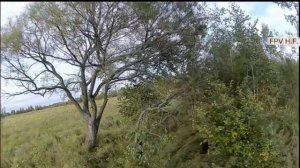 Лес - трасса для FPV гонок :)