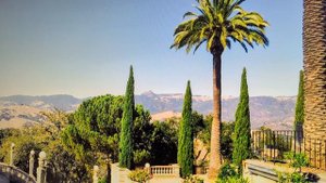 736.Елизаветины заветы. Девичье.