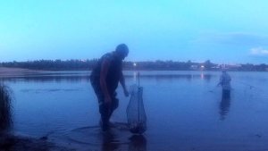 С Натальей на Ахтубу на вечерний клев не фонтан но брызги есть.