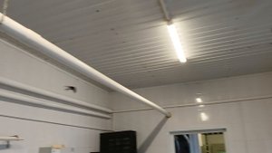 Ласточка залетела в дом и не может вылетить. Свила гнездо и живет с нами