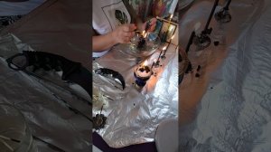 Чистка от нежити, нечисти, сущностей.
