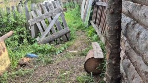 Наша бабья работа по кругу/ кучкую тыкву/ новости по телевизору