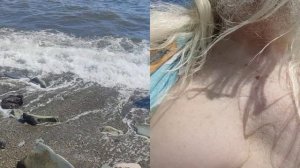 волшебник и прогноз 30 августа