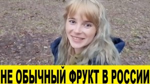Пробую экзотический фрукт в России,цены на продукты / I'm trying an exotic fruit in Russia, food pri